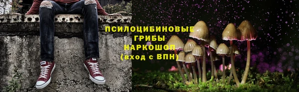 спиды Верея