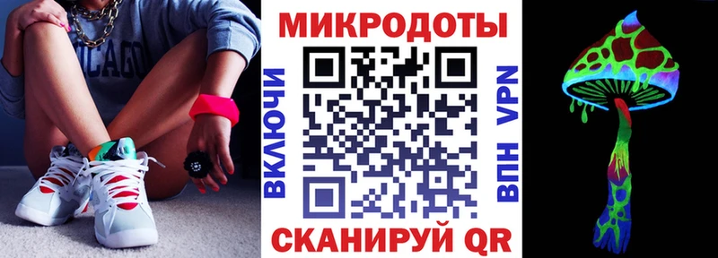 Псилоцибиновые грибы MAGIC MUSHROOMS  блэк спрут ONION  Ачхой-Мартан  хочу наркоту 